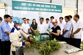 Lam Thao a progressivement atteint les objectifs de la résolution du 30e Congrès du Parti du District.