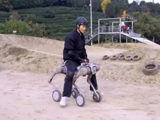 The world's first robot dog that can carry people on complex terrain