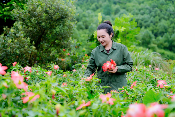 Chị Nguyễn Thị Bình, Giám đốc HTX Nông nghiệp và Dược liệu Thiên Phúc. Ảnh: Quang Linh.