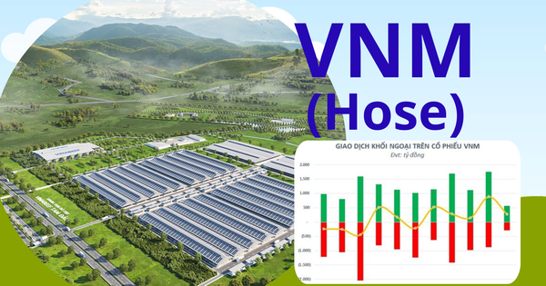 VNM returns to top 10 with capitalization of 6.4 billion USD, what should investors pay attention to?