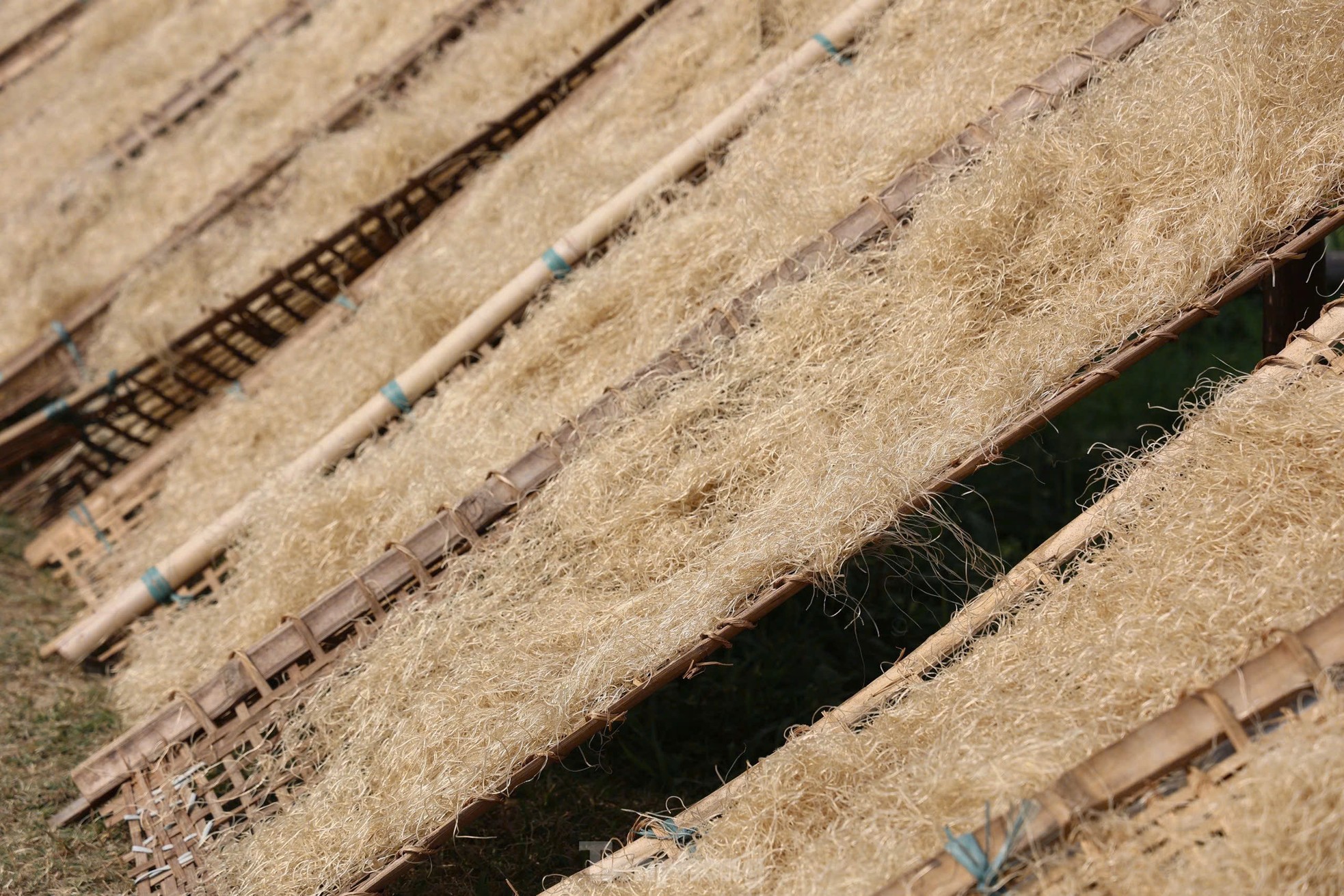 Bustling with Tet in Hanoi's famous vermicelli village photo 16