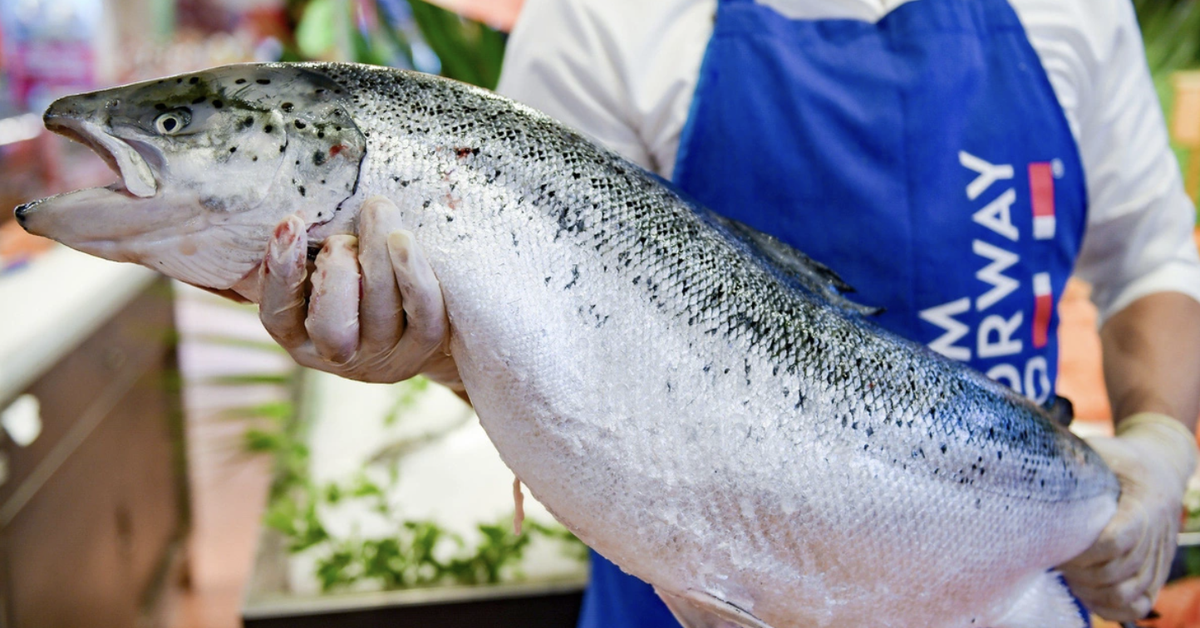 Vietnam imported more than 24,000 tons of Norwegian salmon in the first 10 months of 2024