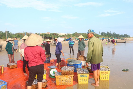 Ngư dân Hà Tĩnh trúng đậm cá biển  ảnh 5