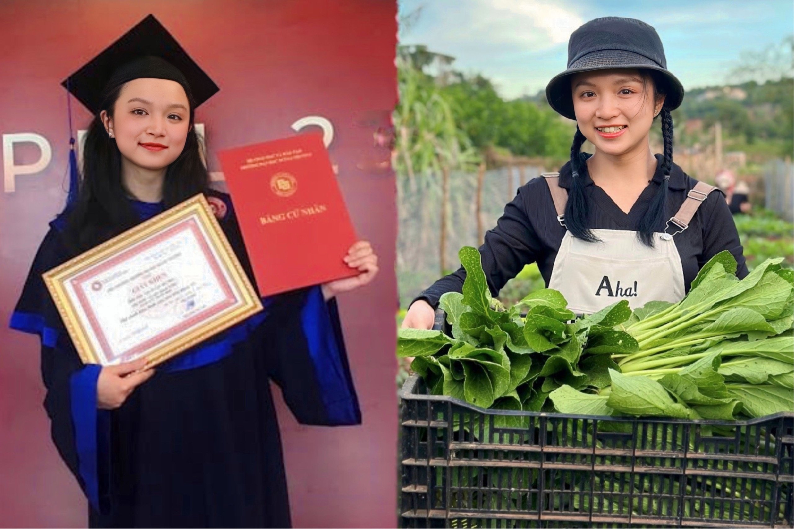 24-year-old Foreign Trade University valedictorian quits high-paying, easy job to return to hometown to grow clean vegetables