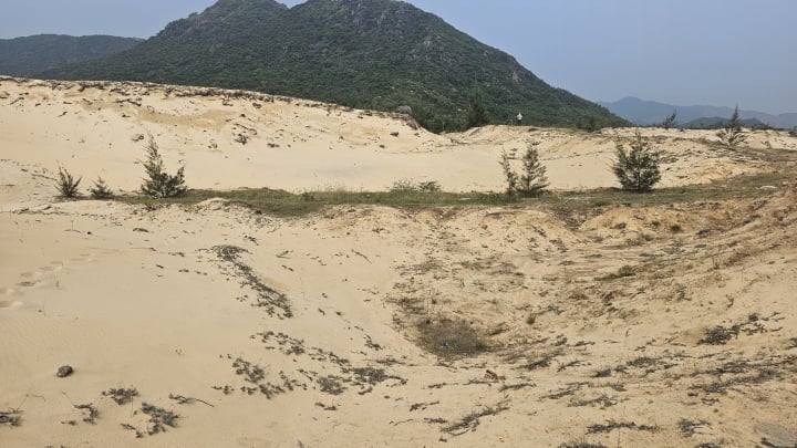 Scène d'une zone d'extraction illégale de sable.