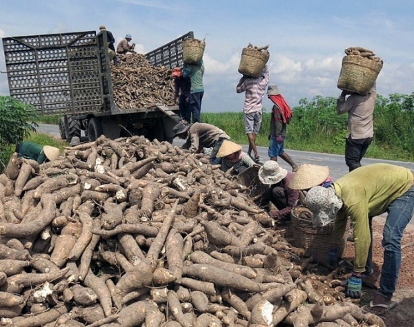 Quel article le Vietnam a-t-il exporté en deuxième position au monde en août ?