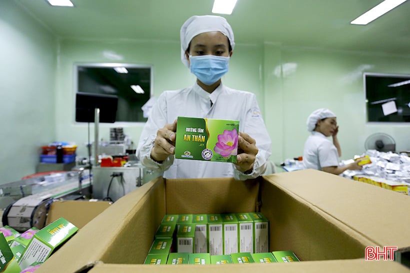 Admire the medicinal lotus pond of Ha Tinh Oriental Medicine Factory