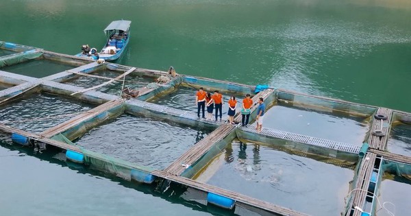 Agribank augmente le montant du crédit préférentiel pour le secteur forestier et de la pêche à 13 000 milliards de VND