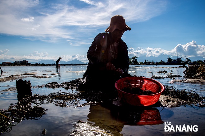 Because of soaking in the water for long periods of time and being exposed to the sun for many hours a day, many people here say they often have headaches and sore knees in the evening. But for the sake of making a living, they are willing to make the trade-off to earn money.