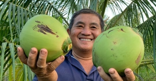 6,000 hectares of organic coconut associated with deep processing for export