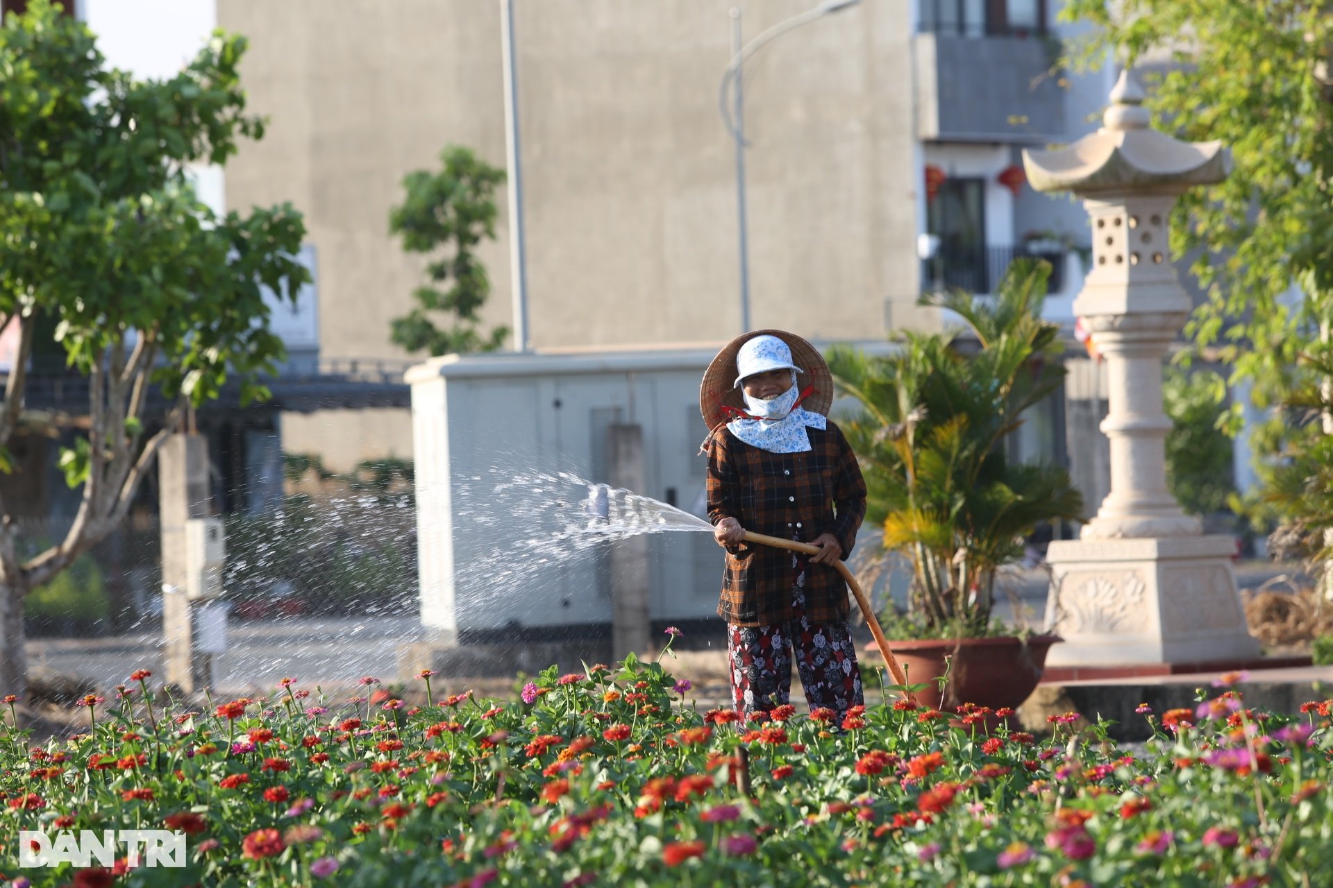 Người dân khu tái định cư sân bay Long Thành rộn ràng chuẩn bị Tết - 7