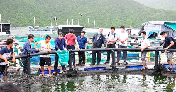 Faire du Vietnam un pays doté d'une pêche durable et moderne d'ici 2050