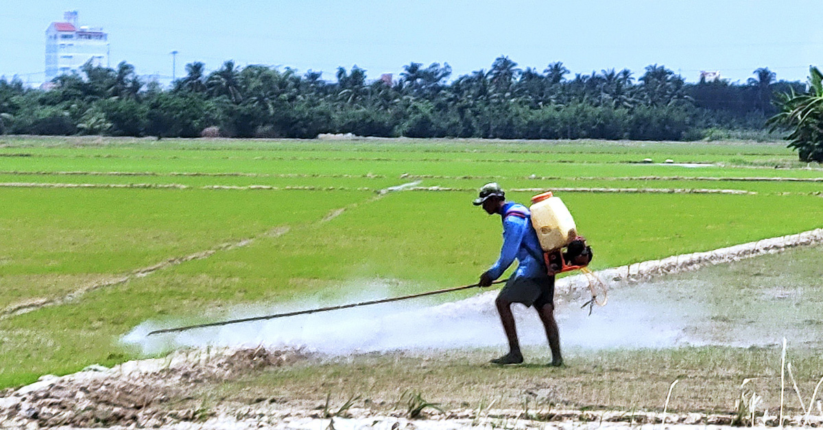 In Vietnam dürfen mehr als 4.800 Arten von Pestiziden verwendet werden.