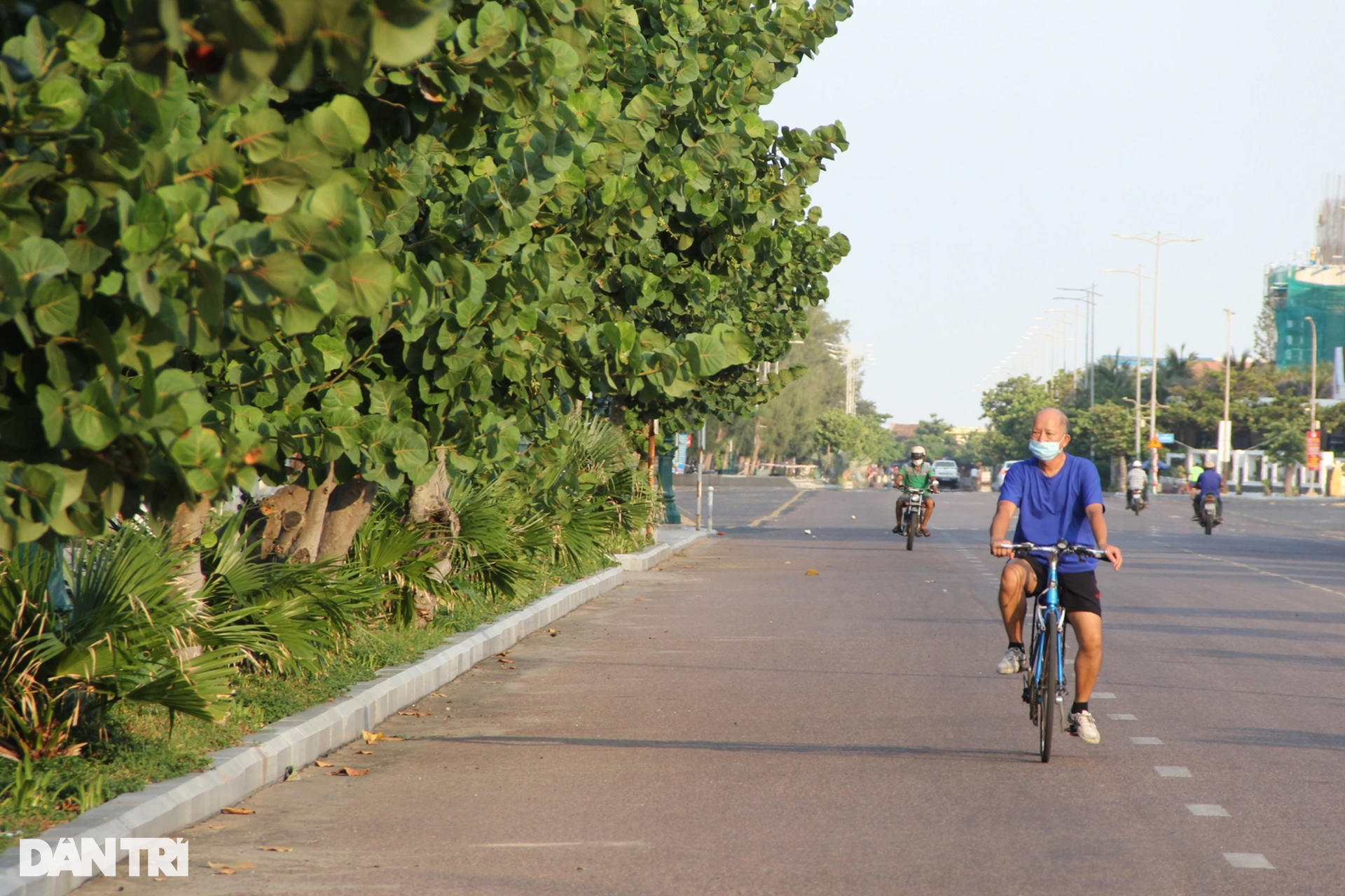 Lá tra xuất ngoại mang về tiền tỷ - 1