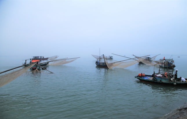 5-7 hours at sea, Ha Tinh fishermen earn tens of millions of dong thanks to a big catch of shrimp photo 1