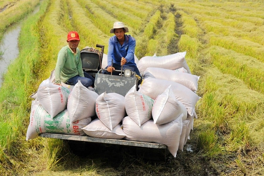 An ninh lương thực quốc gia được đảm bảo