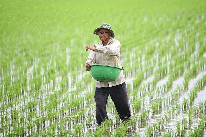 La industria vietnamita de fertilizantes enfrenta dificultades debido al 