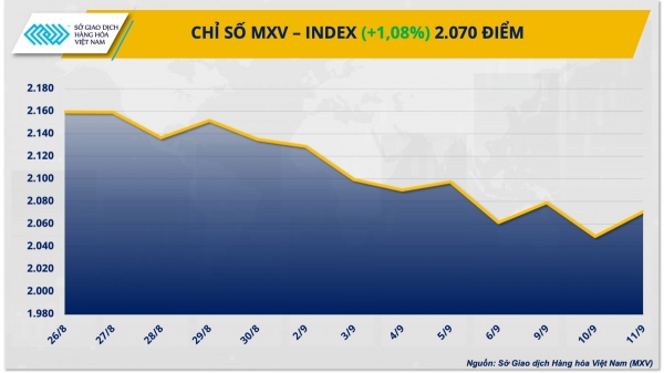 Lực mua mạnh quay lại thị trường kéo chỉ số MXV-Index phục hồi