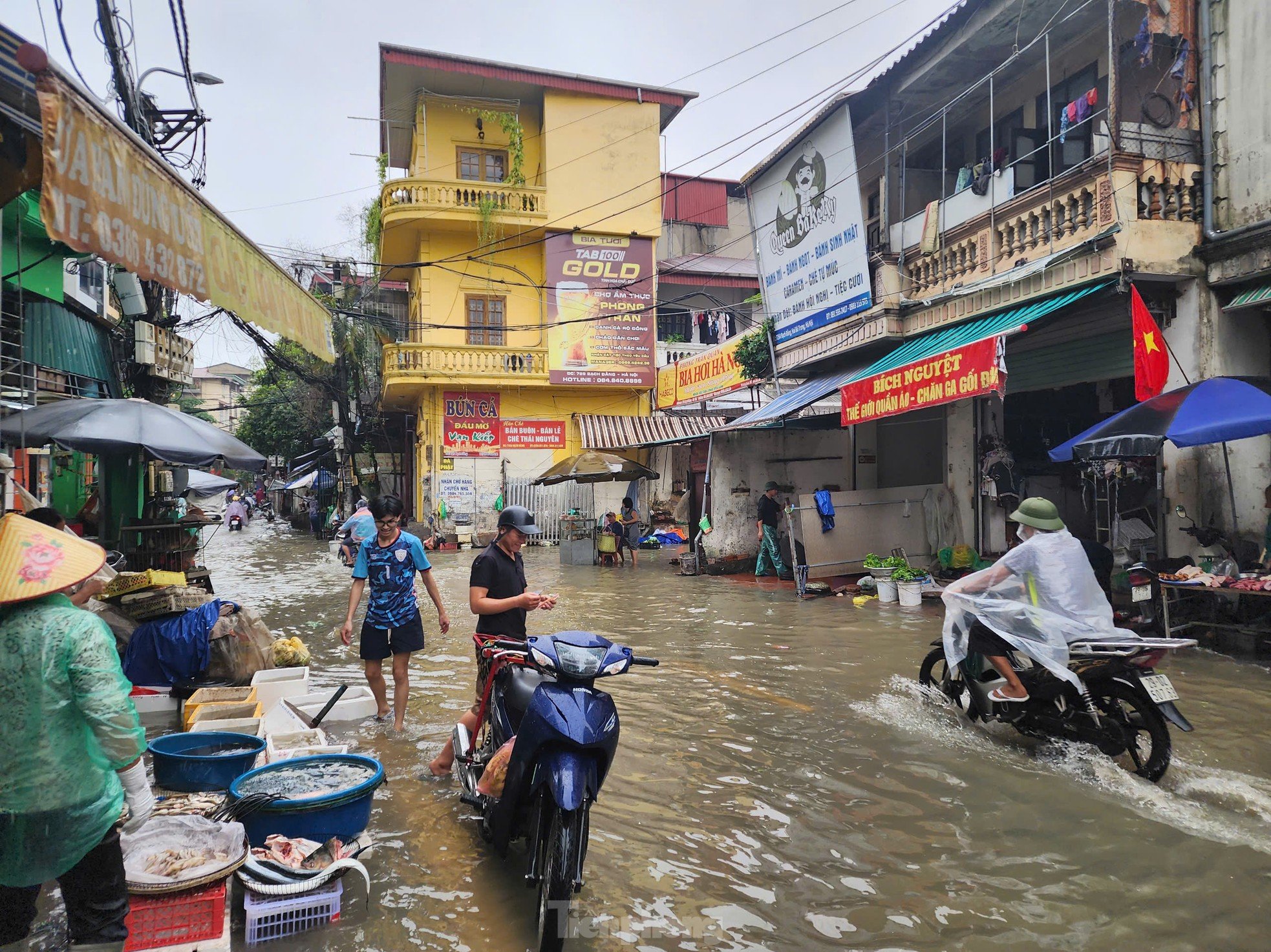 Hà Nội: Mất điện, ngập sâu, hàng trăm dân ngoài đê di tản ảnh 12