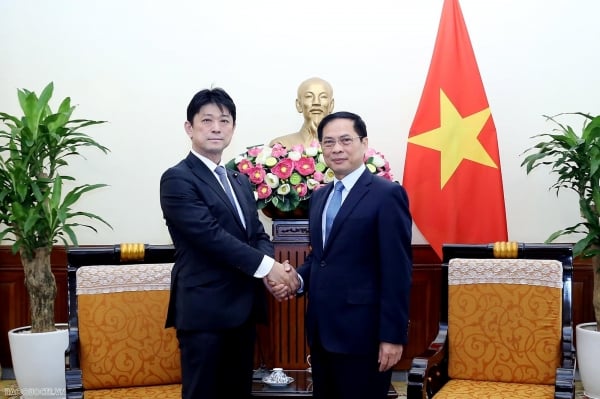 Vietnam needs to further improve the investment environment and implement cooperation in new fields.