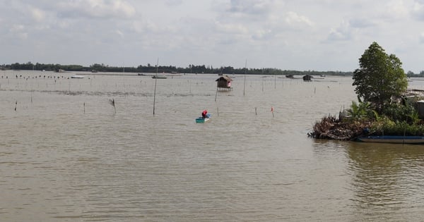 Một nguyên chủ tịch huyện ở Cà Mau bị đề nghị kiểm điểm