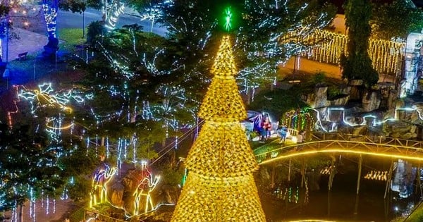 Du khách trầm trồ cây thông Noel làm từ 2.000 chiếc nón lá ở Đà Nẵng