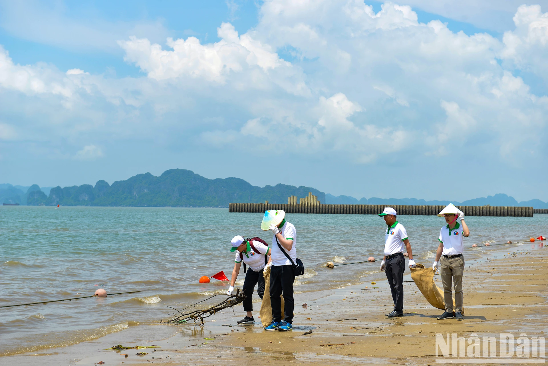 [Foto] Vietnam-UE: Uniendo fuerzas por un medio ambiente limpio foto 6