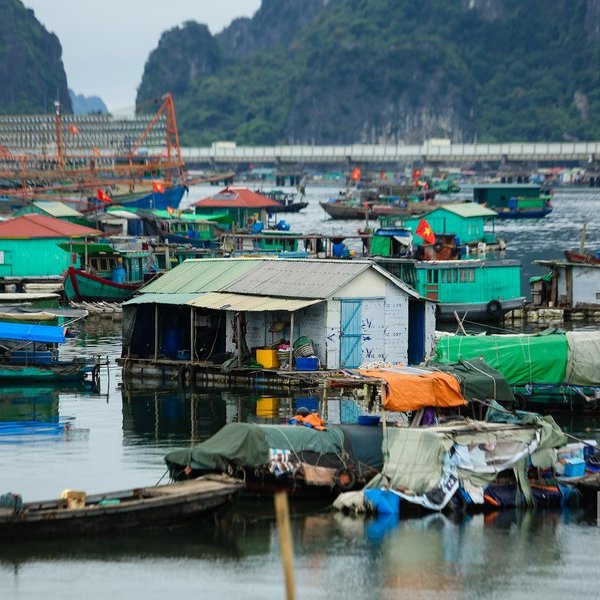 Thành lập Ban chỉ đạo gỡ cảnh báo “thẻ vàng" IUU