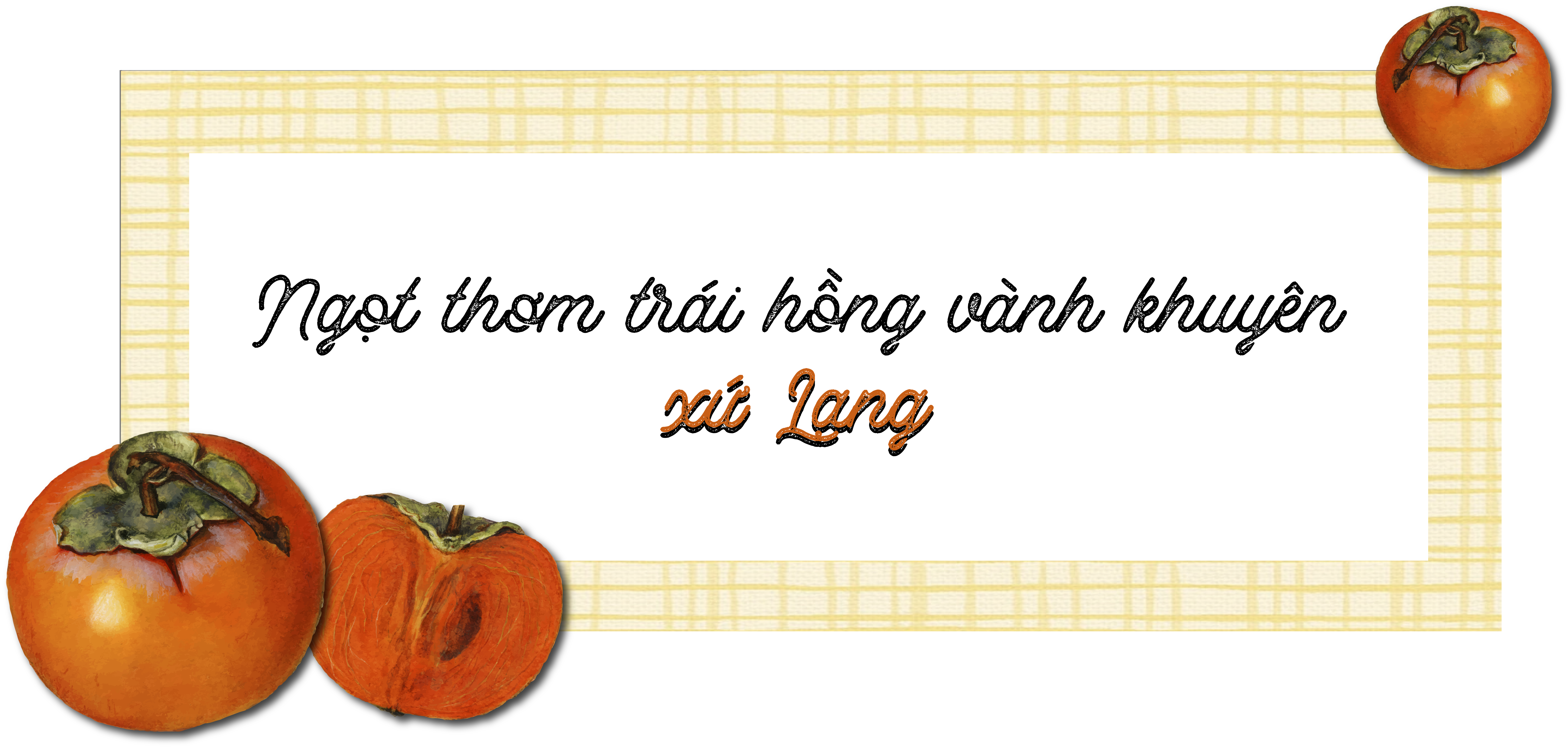Longform | Sweet and fragrant persimmon from Lang Son
