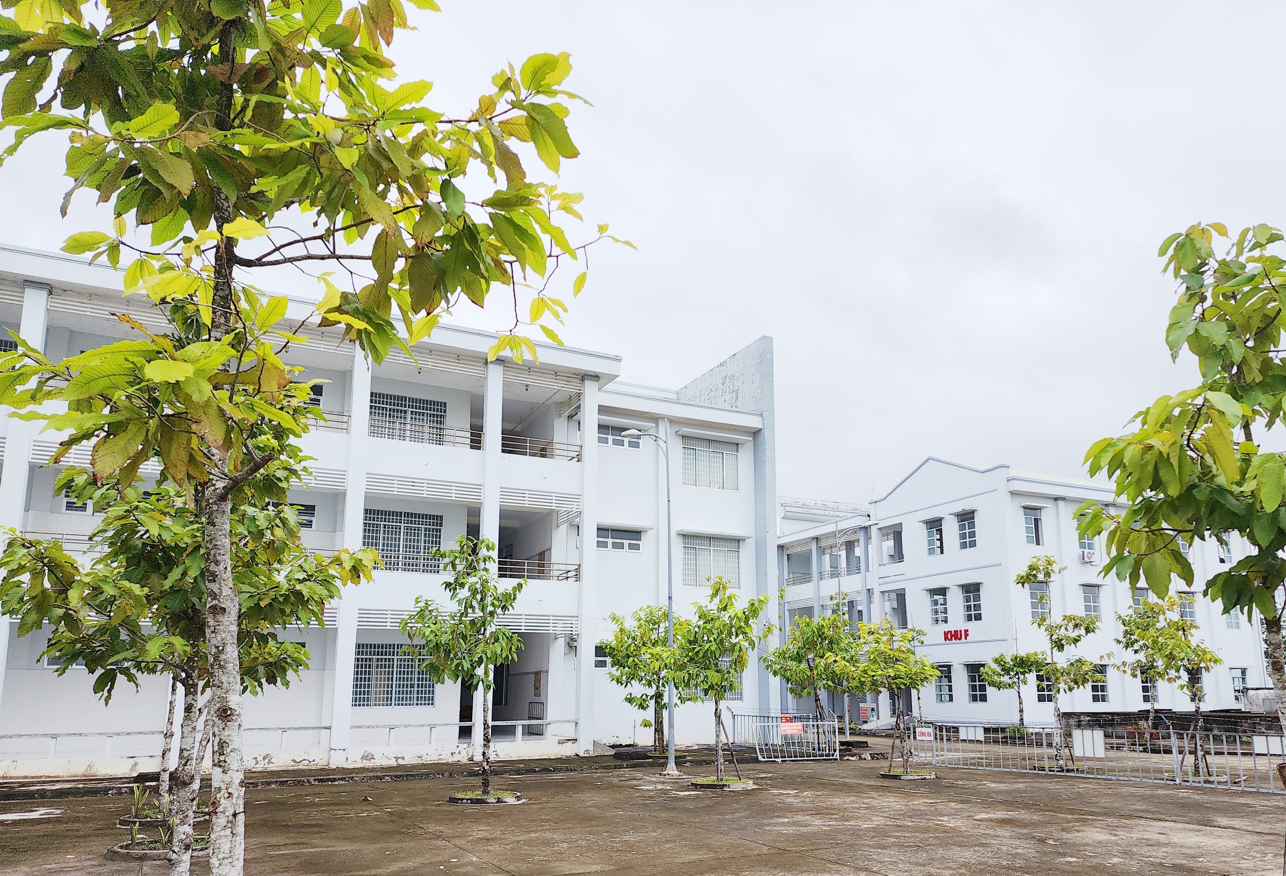Đề nghị điều tra sai phạm nghiêm trọng xảy ra tại Bệnh viện Lao và Bệnh phổi Bạc Liêu- Ảnh 1.