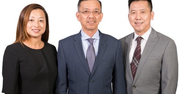 Vietnam Waste Solutions se pronuncia sobre la información de que el Sr. David Duong fue procesado