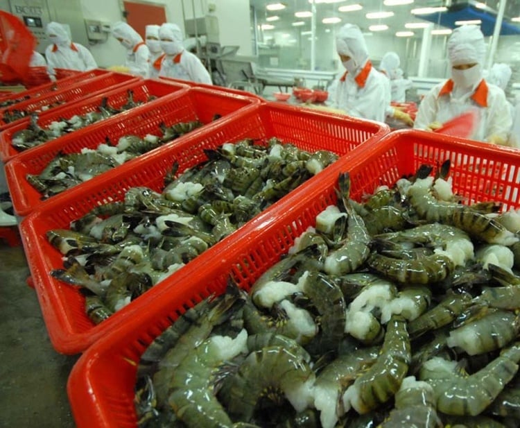 Vietnam remains the fourth source of shrimp for the United States.