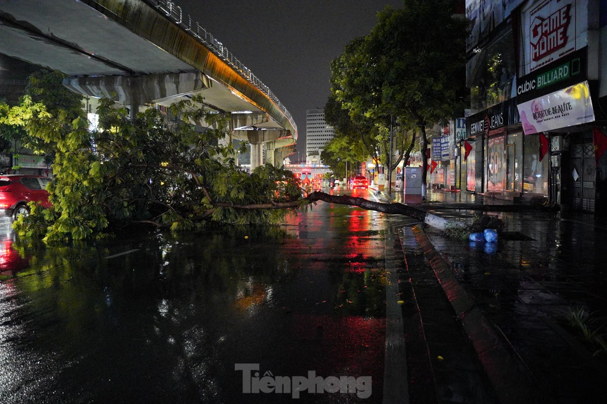 ハノイで大雨​​が降り、一連の木が倒れたり根こそぎにされたりした。写真4