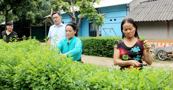 Un hermoso distrito de Ha Giang está decidido a crear un entorno de vida saludable para su gente.