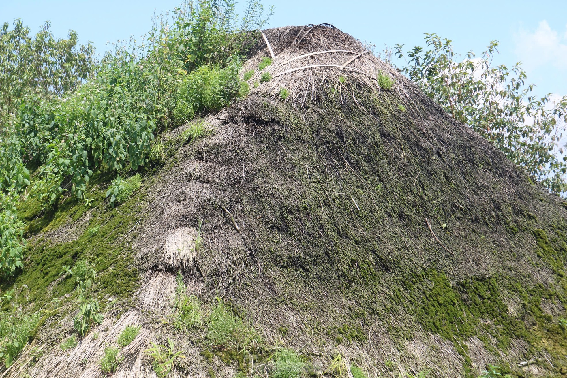 Einzigartiges altes Stampflehmhaus in der Grenzregion Foto 8