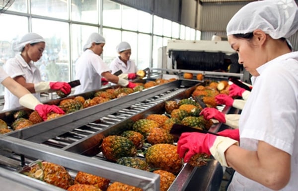 7 tasks to bring fruit and vegetable exports to 10 billion USD