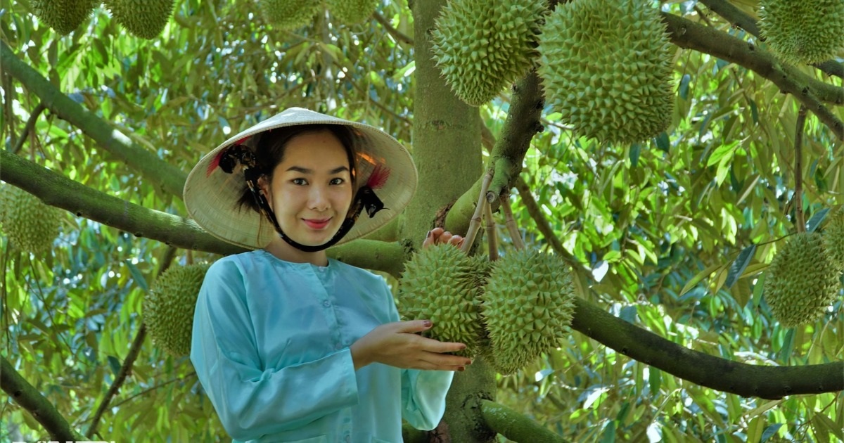 The auction for the title "Durian Queen" is about to take place.