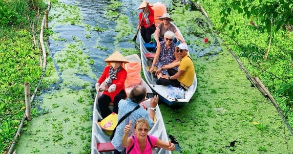 Khu rừng ở An Giang, Đồng Tháp, Long An, Cà Mau mùa nước nổi thấy động vật sách Đỏ, đẹp mê luôn