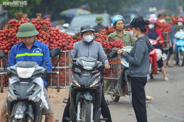 Bac Giang: Los agricultores se apresuran a llevar lichis para pesarlos y venderlos, las calles se tiñen de rojo - 3