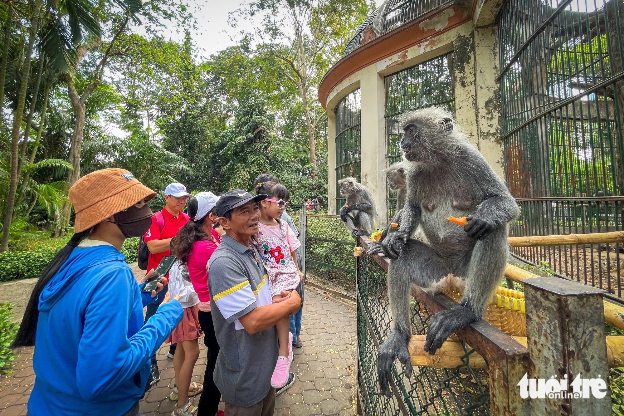 Nguy cơ ngừng hoạt động vì nợ thuế hàng trăm tỉ đồng, Thảo cầm viên Sài Gòn nói gì? - Ảnh 1.