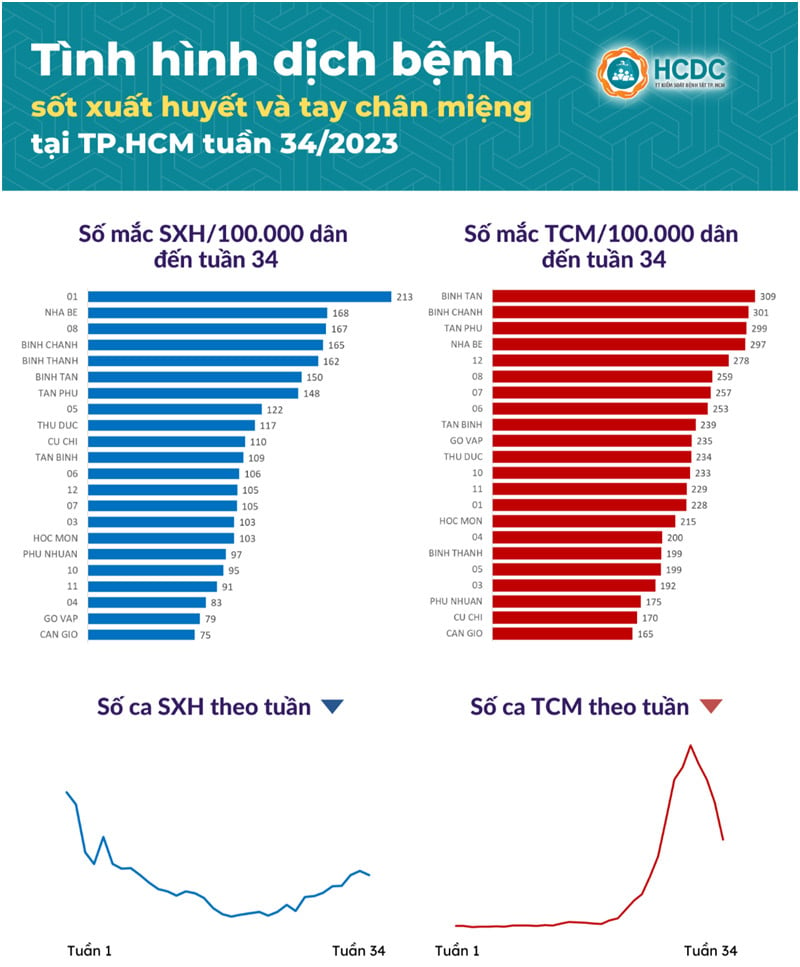 La fiebre del dengue en la ciudad de Ho Chi Minh presenta síntomas cada vez más frecuentes