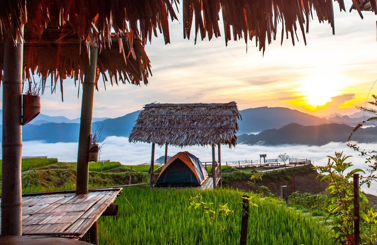 새벽에 캠핑을 경험해 보세요. 사진: Sy Anh