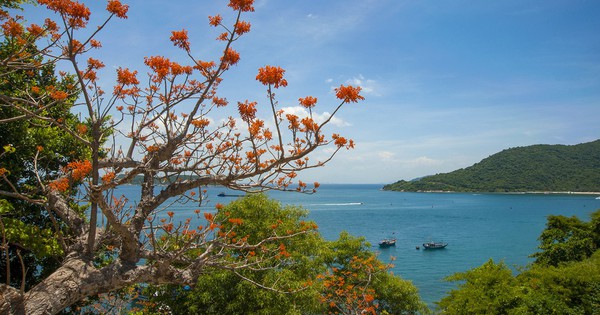 Many special activities at the Festival "Cu Lao Cham"