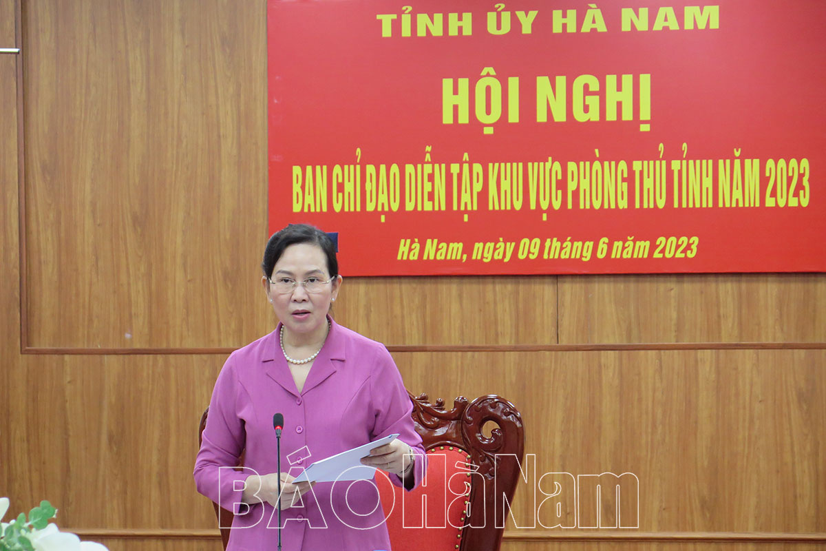 Das Parteikomitee der Provinz Ha Nam führt 2023 Verteidigungsübungen in der Provinz durch