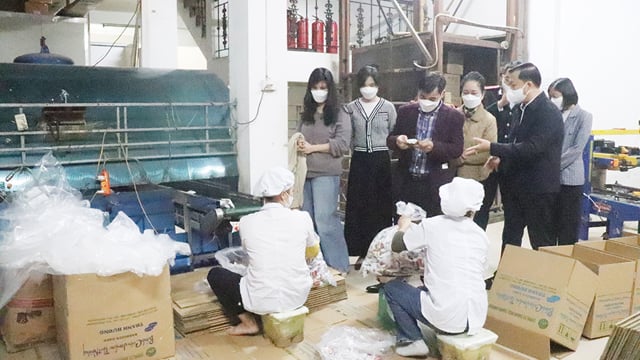 Hanoi suspende temporalmente las operaciones de los establecimientos de venta de pasteles de arroz verde Nguyen Ninh y pasteles Thanh Huong Jambon.