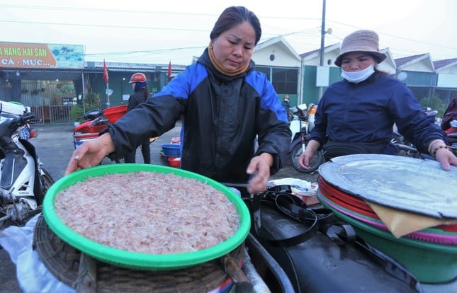 5-7 hours at sea, Ha Tinh fishermen earn tens of millions of dong thanks to a big catch of shrimp photo 9