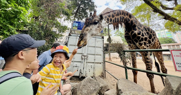 Thảnh thơi du lịch tại chỗ