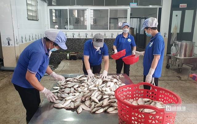 Hai Phong: Aus einer „gewöhnlichen“ Fischart wird ein berühmtes OCOP-Produkt