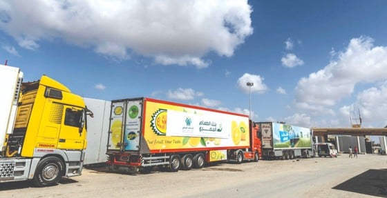 UN aid convoy enters Gaza Strip through Rafah border crossing