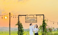Coffee shop in the middle of golden rice fields in the suburbs of Hanoi attracts young people